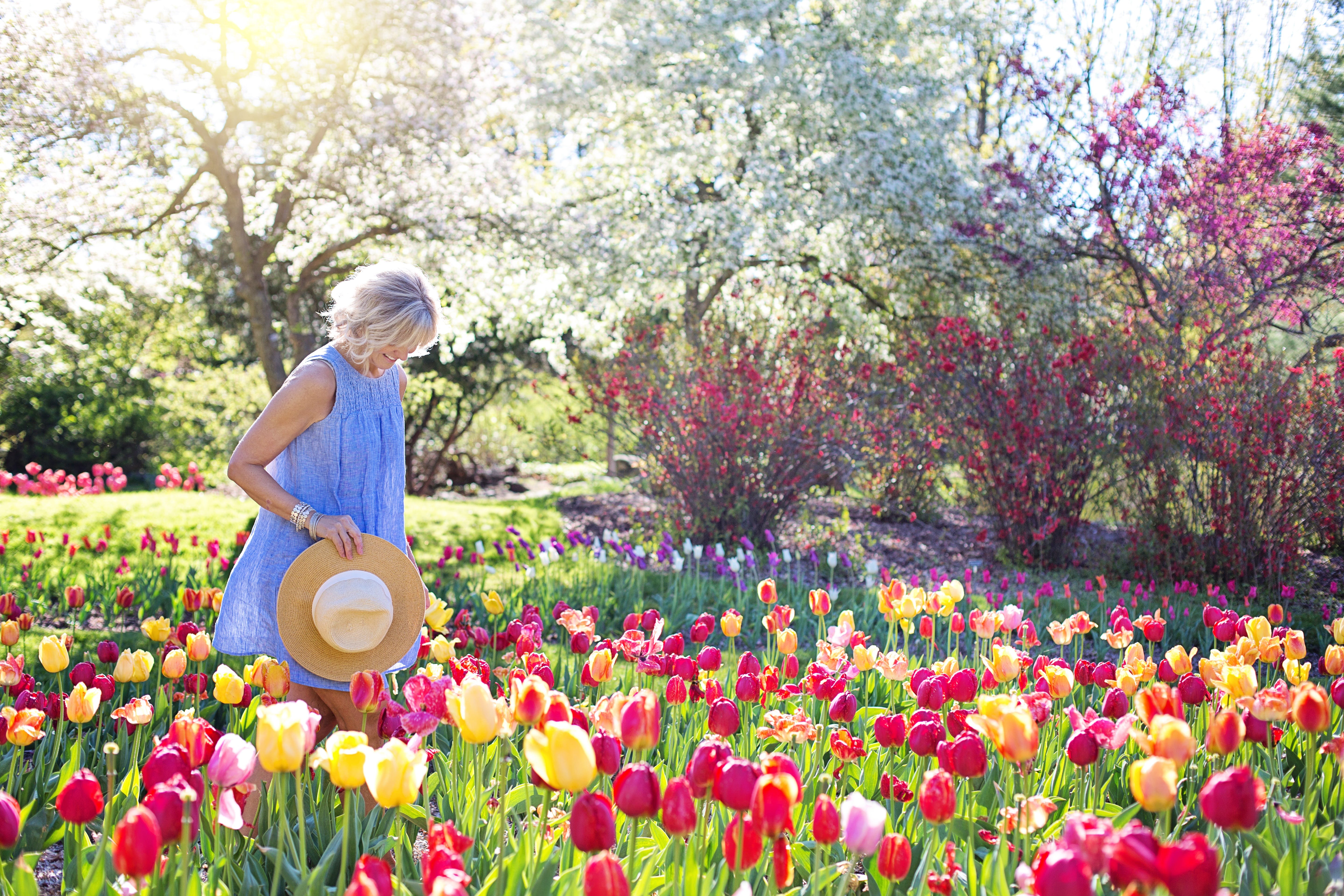 Dementia Garden