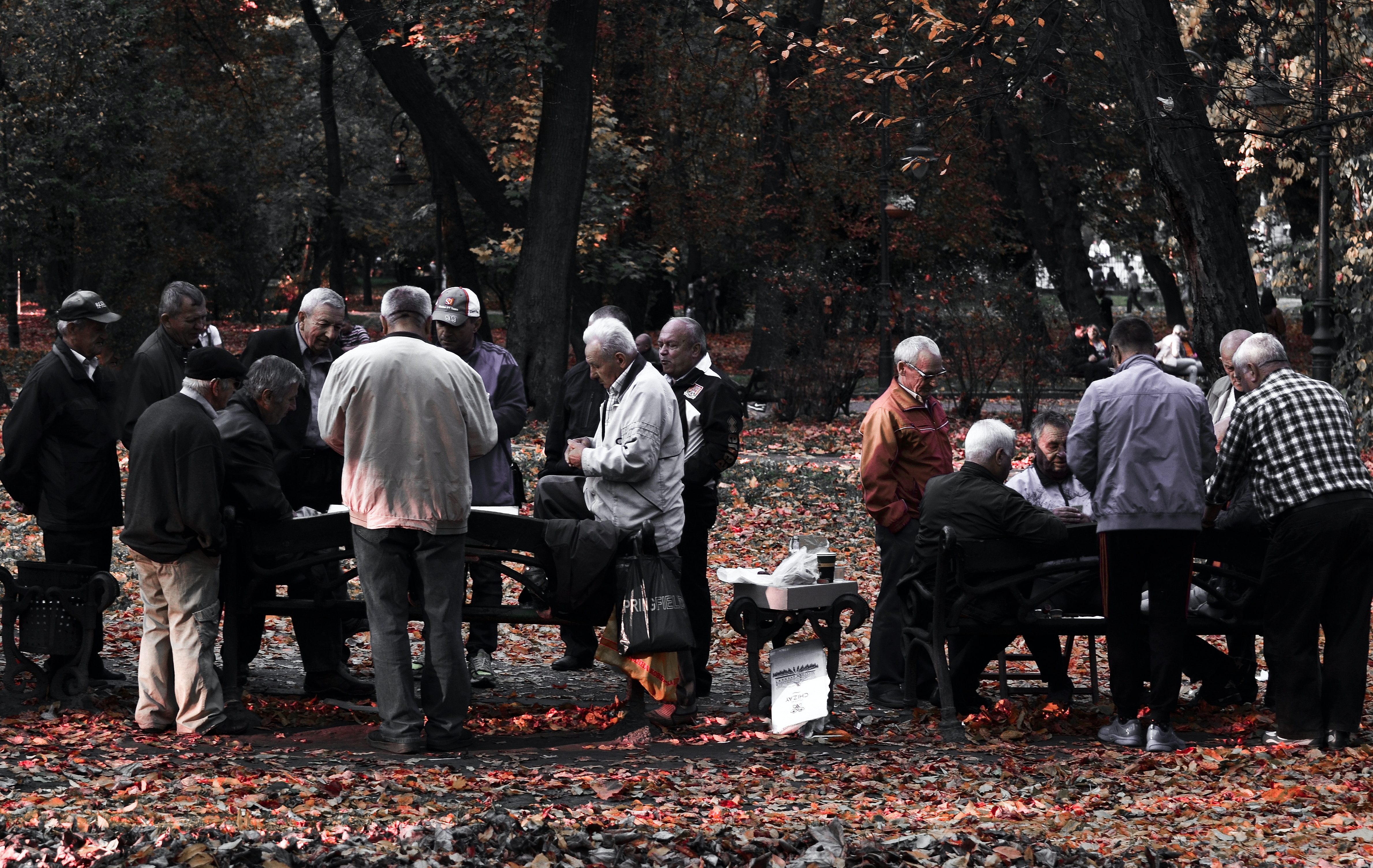 Social Groups For Over 50s Near Me