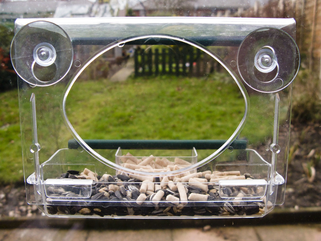 Window Bird Feeder