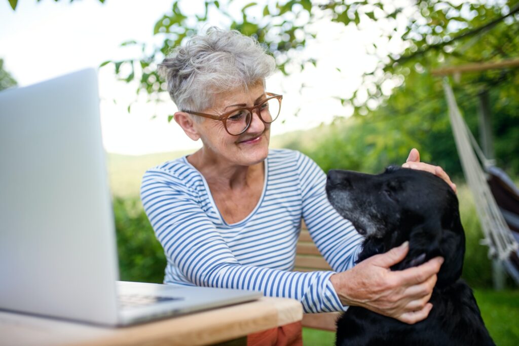 Pet-Friendly Options