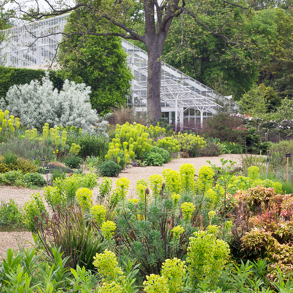 Savill Garden - Surrey
