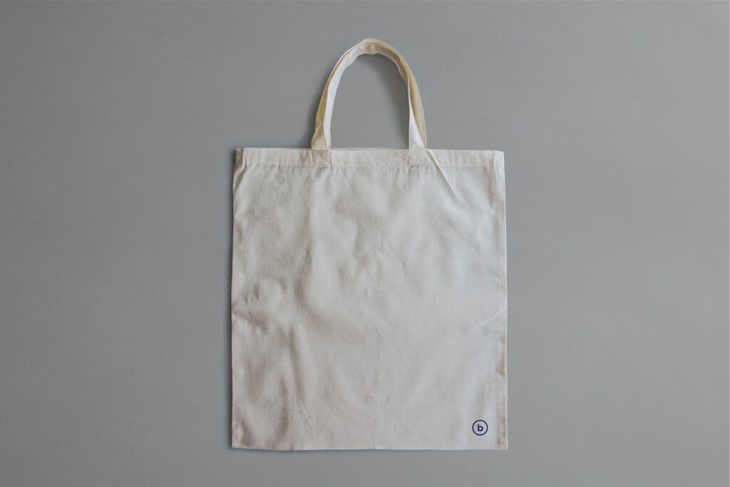 Mobility-Enhancing Walker Bag
