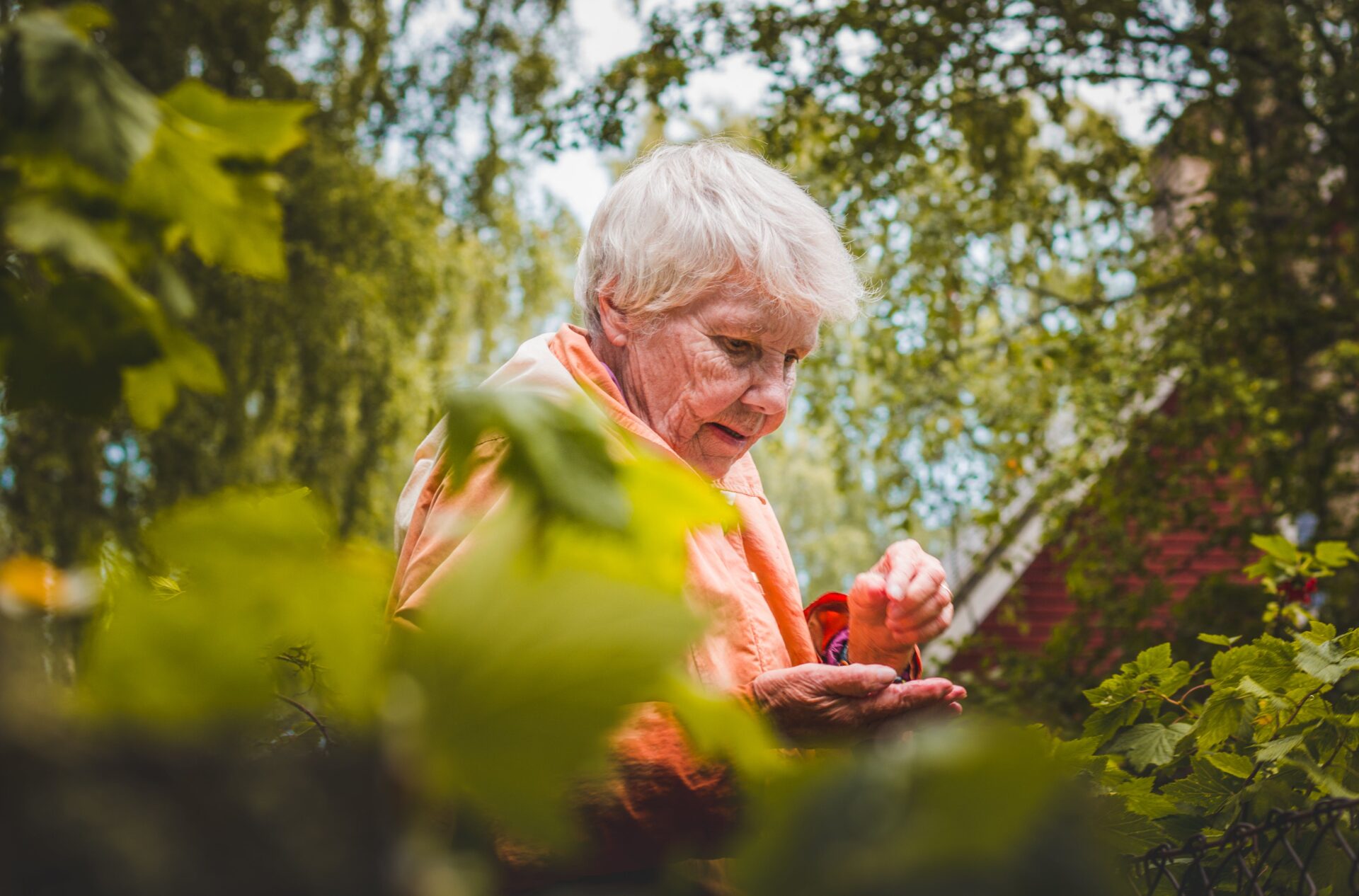 Widow's Pension For Over 70