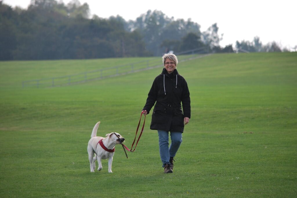 The Joy Of Dog Walking